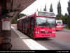 DSCI0052busslink4518.JPG (97084 bytes)