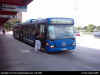 DSCI0001busslink5343.JPG (76881 bytes)