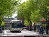 Vasteras Lokaltrafik 256 Vasagatan 20060514.jpg (416487 bytes)